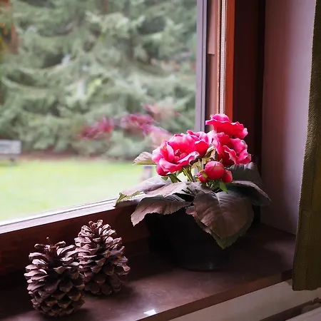Сasa de vacaciones Haus Am Wolfsbach