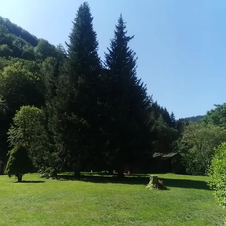 Casa vacanze Haus Am Wolfsbach Zorge